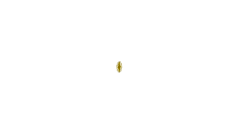logo TAYSENTOTO